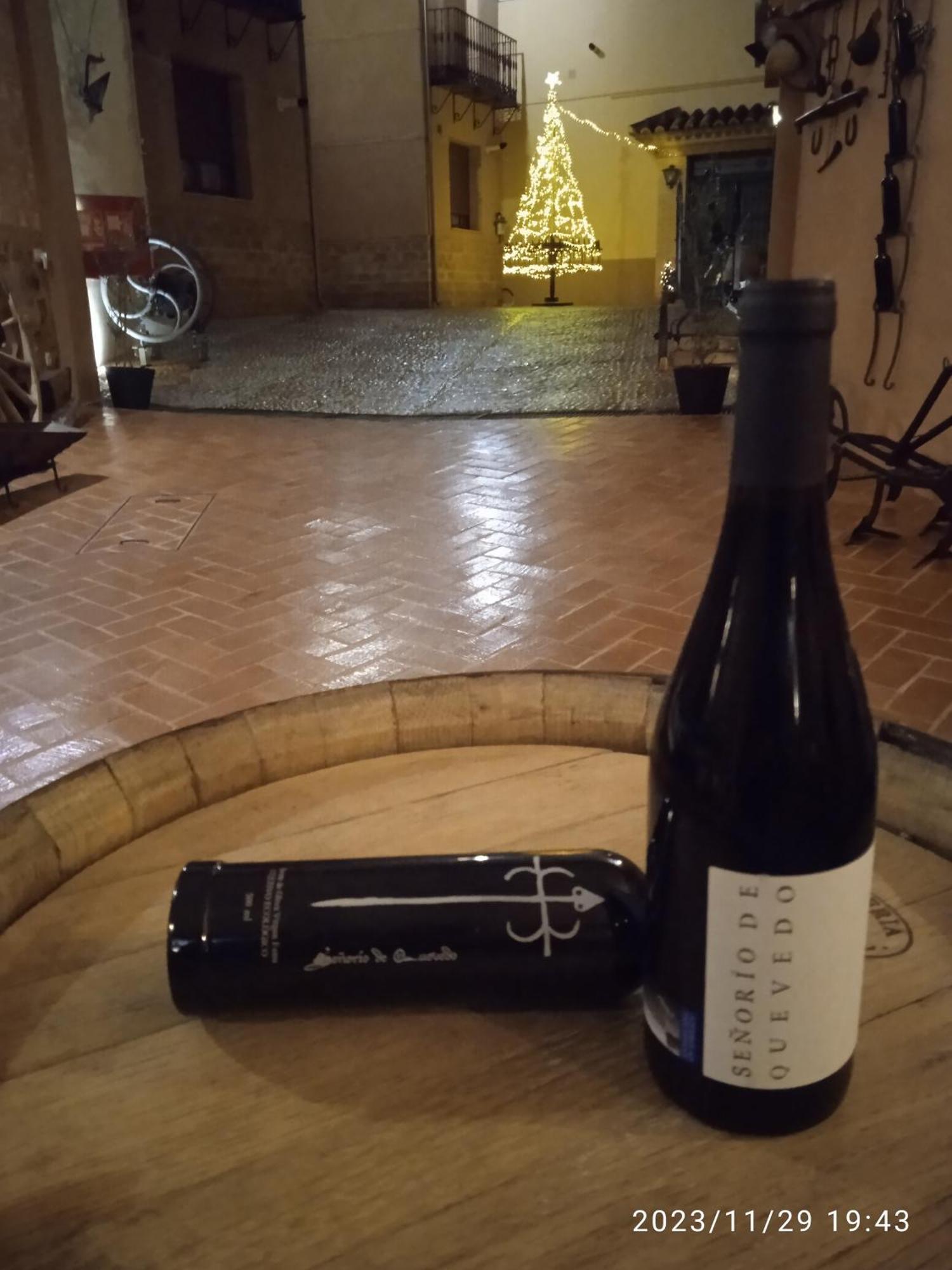 Casa Rural Senorio De Quevedo ビジャヌエバ・デ・ロス・インファンテス エクステリア 写真