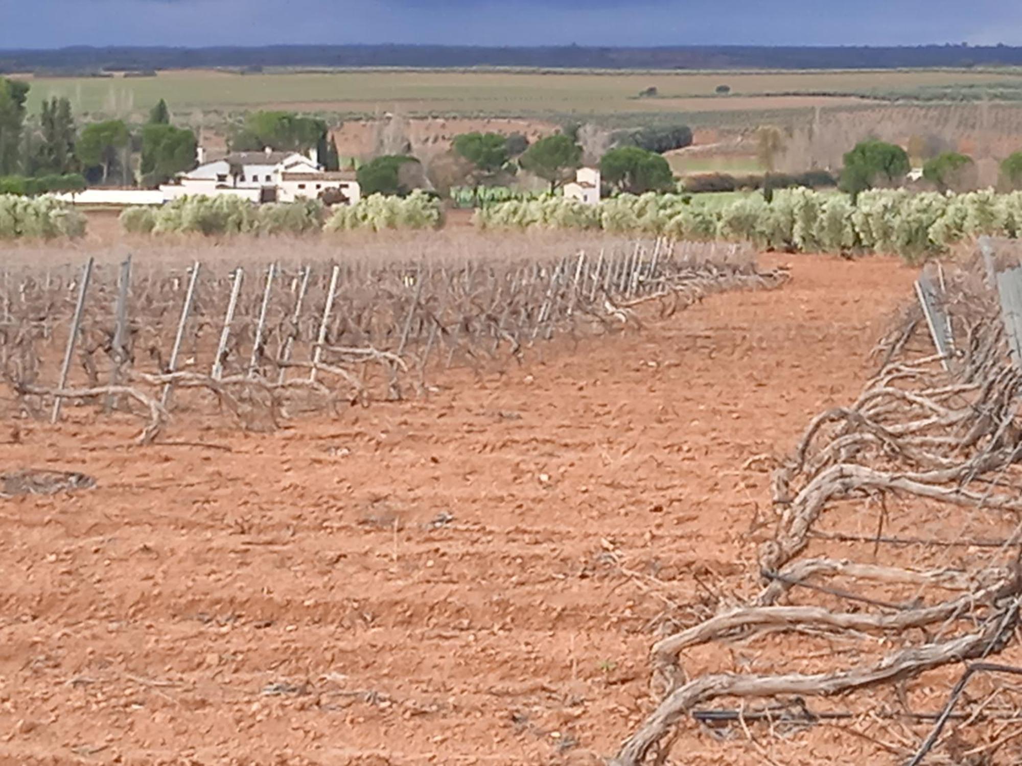 Casa Rural Senorio De Quevedo ビジャヌエバ・デ・ロス・インファンテス エクステリア 写真